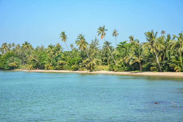 Comment organiser une visite des vignobles en Nouvelle-Zélande avec un budget restreint?
