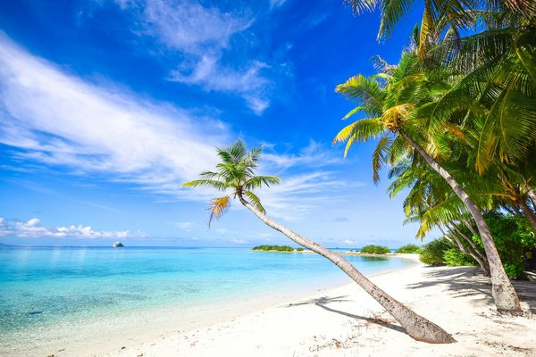 Location de chalet à saint-gervais : immersion grandeur nature au pied du mont blanc
